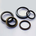 Oil Seals